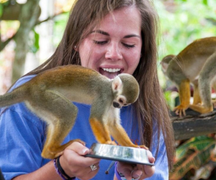 Monkey Island